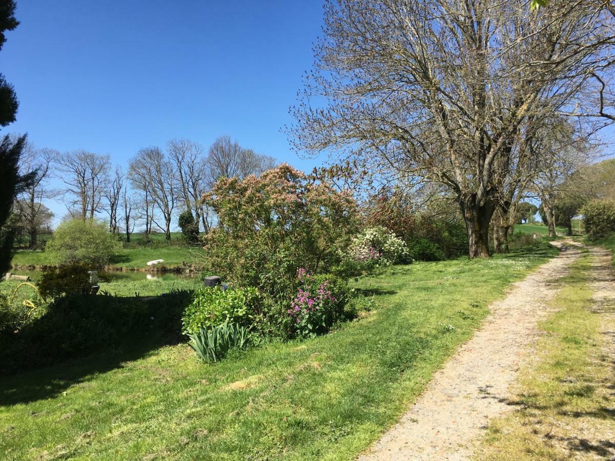 L'Enquenouille Basse Pensionat Verdun-en-Lauragais Exteriör bild